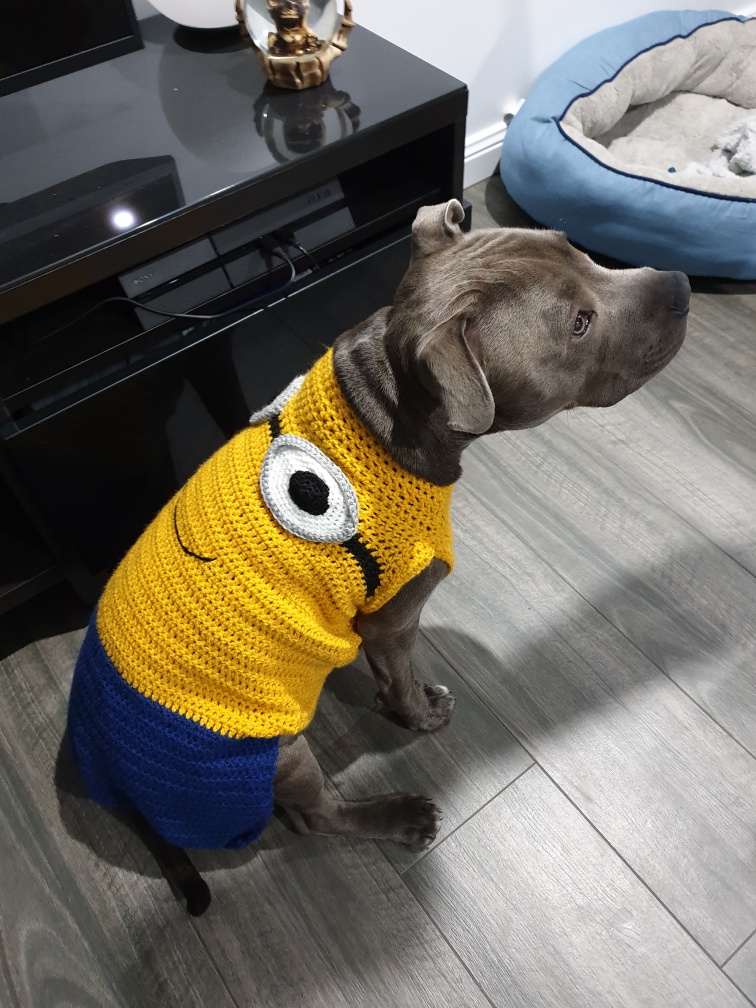 Crochet Minion Dog Outfit – (L) Free Pattern